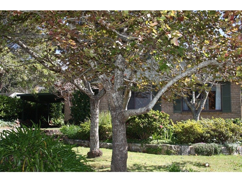 Wentworth Falls NSW 2782