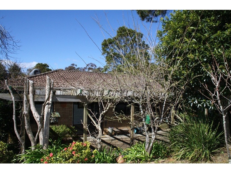 Wentworth Falls NSW 2782