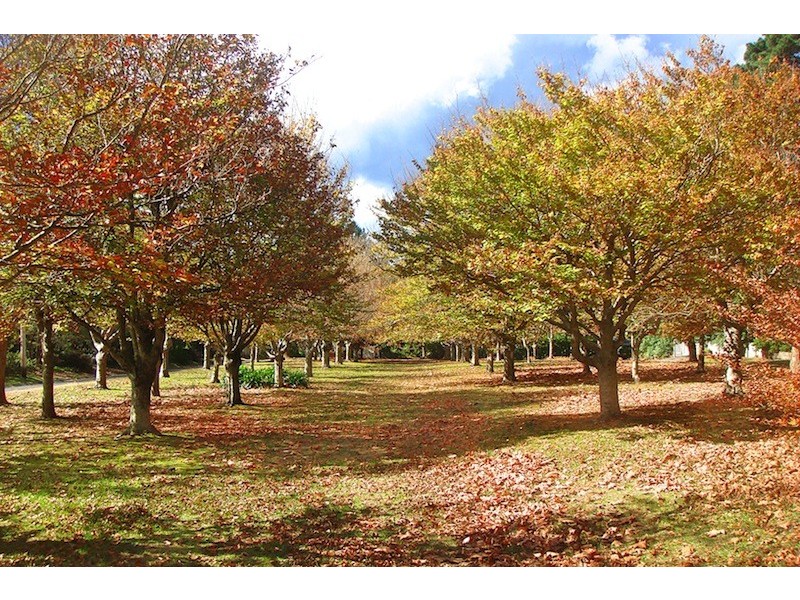 Wentworth Falls NSW 2782