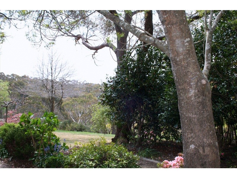 Wentworth Falls NSW 2782
