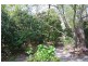 Wentworth Falls NSW 2782