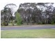 Wentworth Falls NSW 2782