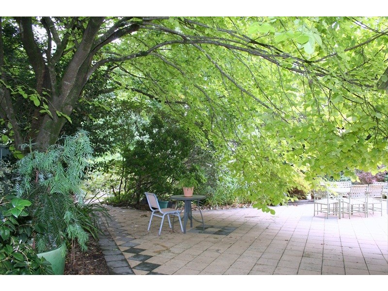 58 Bate Street, Wentworth Falls NSW 2782