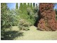 Wentworth Falls NSW 2782