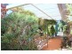 Wentworth Falls NSW 2782
