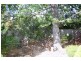 Wentworth Falls NSW 2782