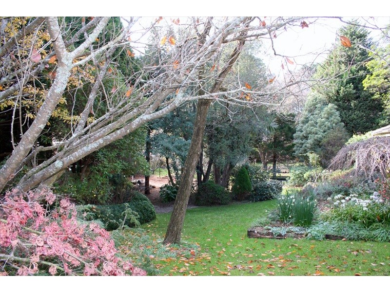 Wentworth Falls NSW 2782