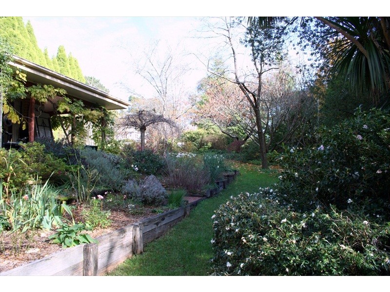 Wentworth Falls NSW 2782