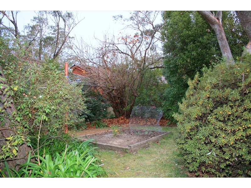 Wentworth Falls NSW 2782