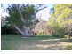 Wentworth Falls NSW 2782
