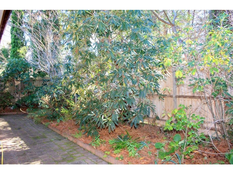 Wentworth Falls NSW 2782