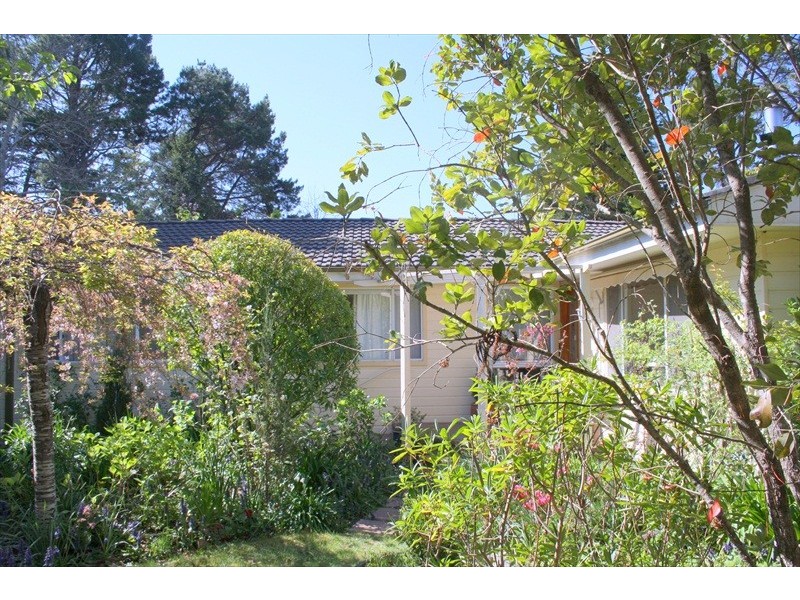 Wentworth Falls NSW 2782