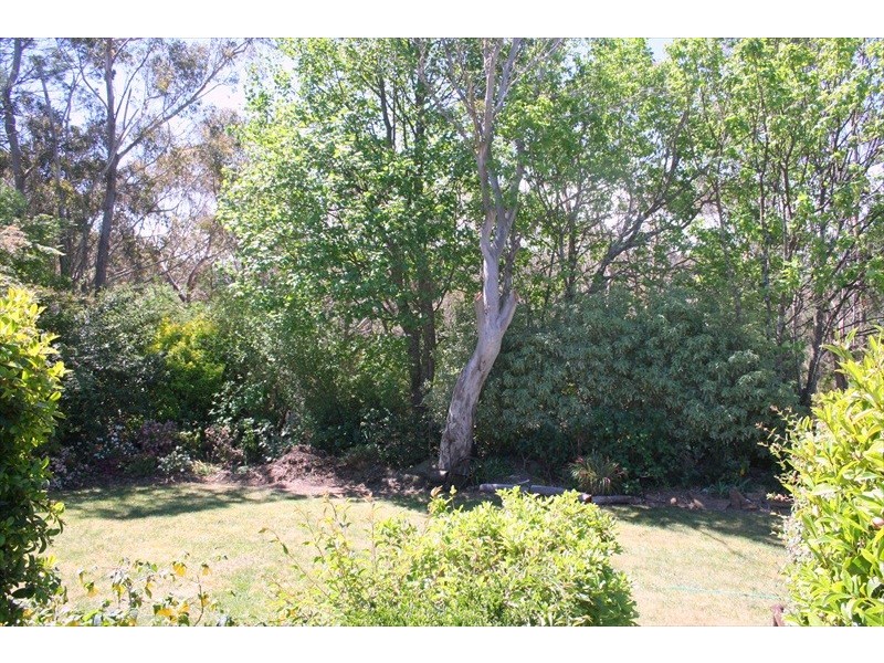 Wentworth Falls NSW 2782