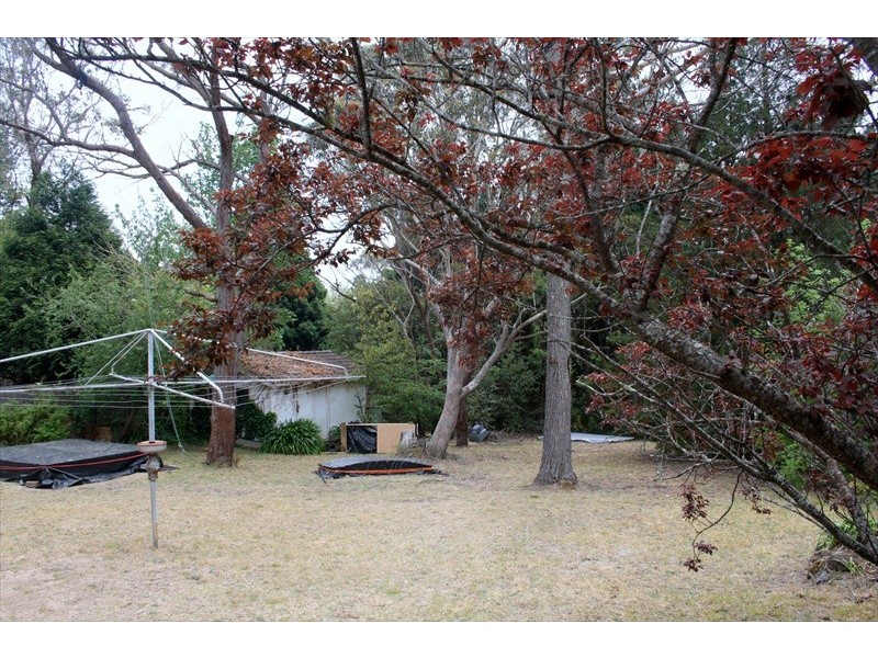 39 McLaughlin Avenue, Wentworth Falls NSW 2782