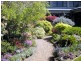 Blackheath NSW 2785