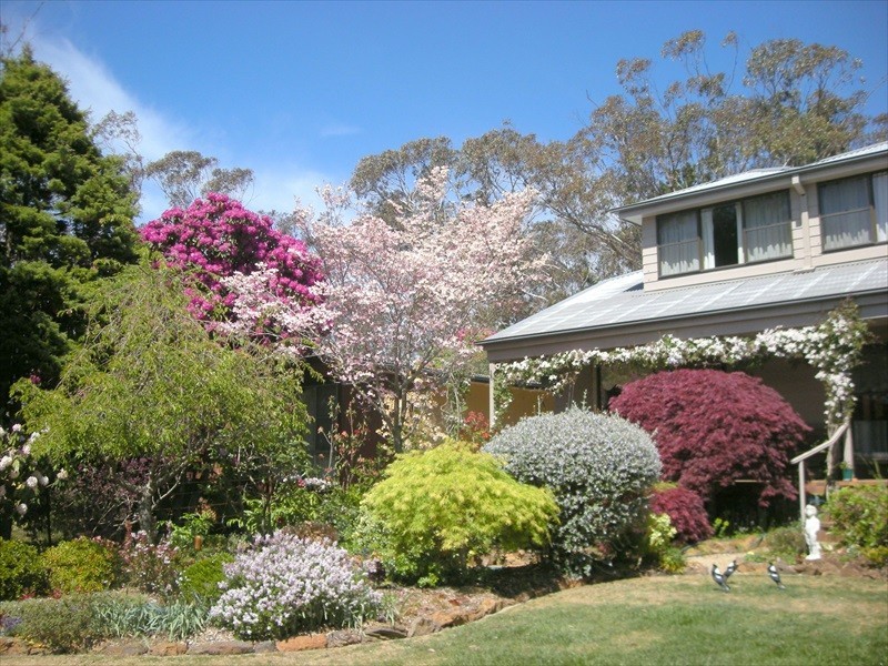 Blackheath NSW 2785
