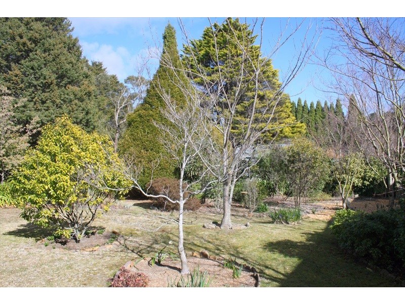 Wentworth Falls NSW 2782