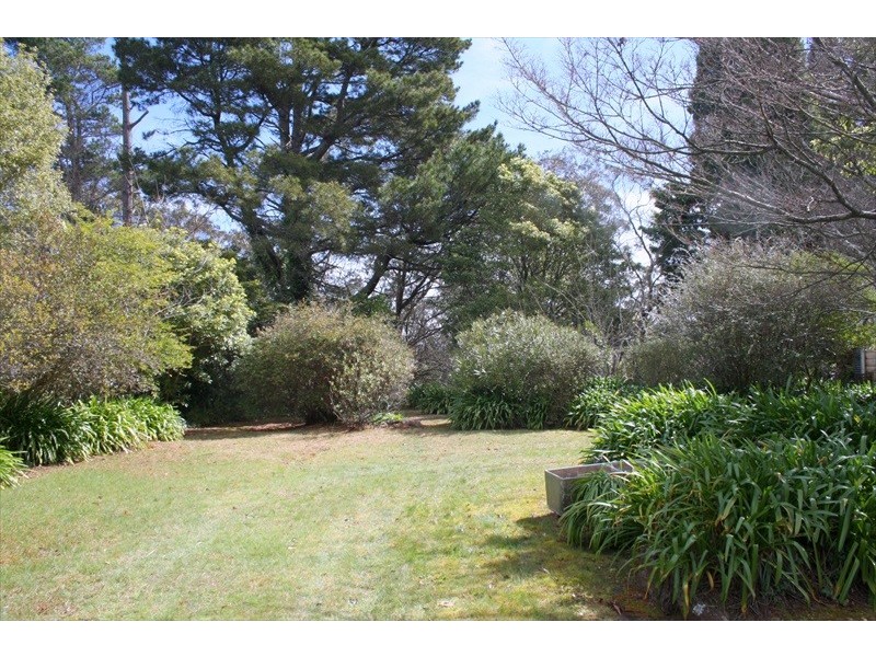 Wentworth Falls NSW 2782