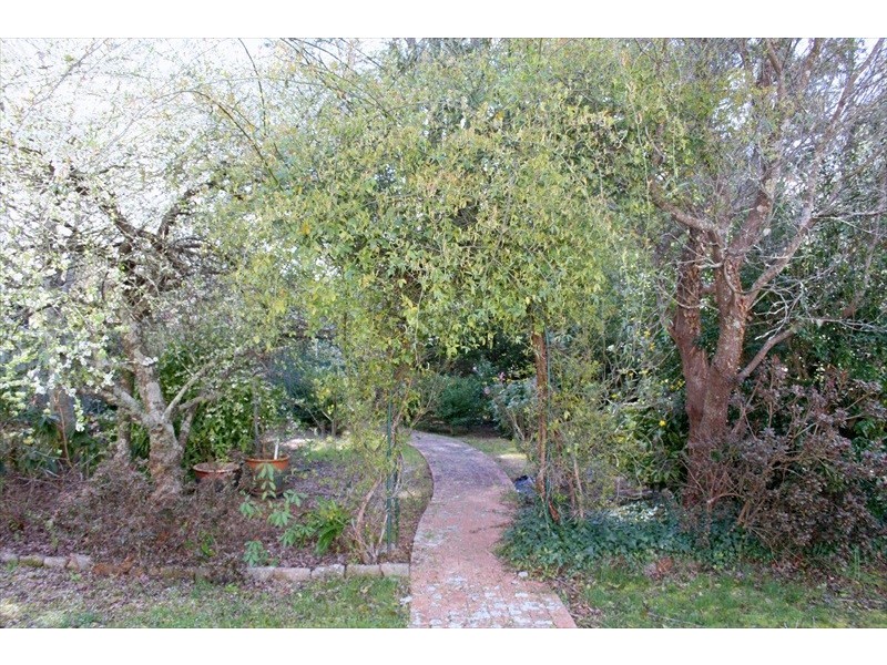 Wentworth Falls NSW 2782