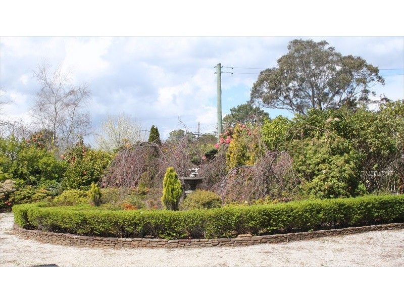 Wentworth Falls NSW 2782