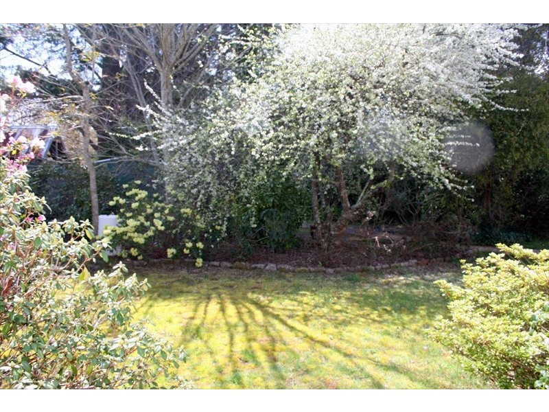 Wentworth Falls NSW 2782