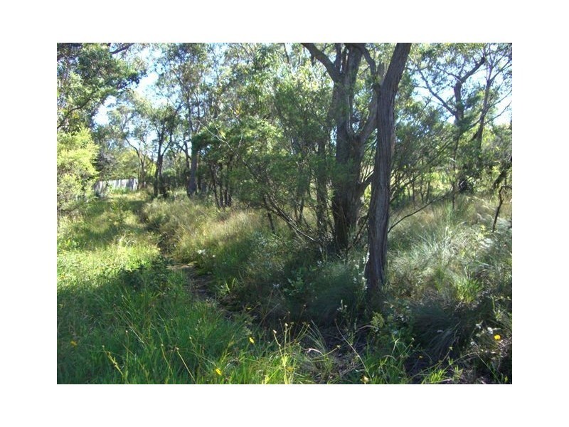 Wentworth Falls NSW 2782