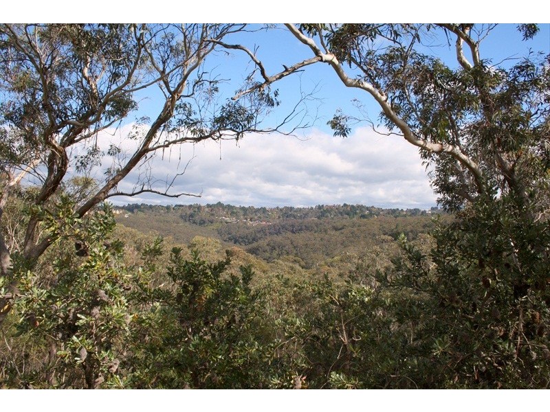 Wentworth Falls NSW 2782