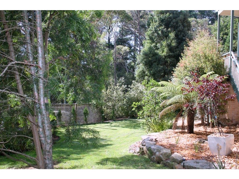 Wentworth Falls NSW 2782