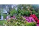 Leura NSW 2780