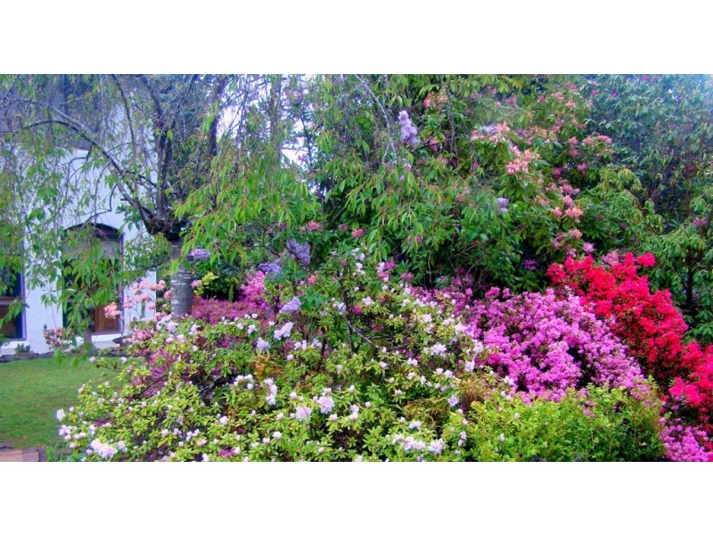 Leura NSW 2780