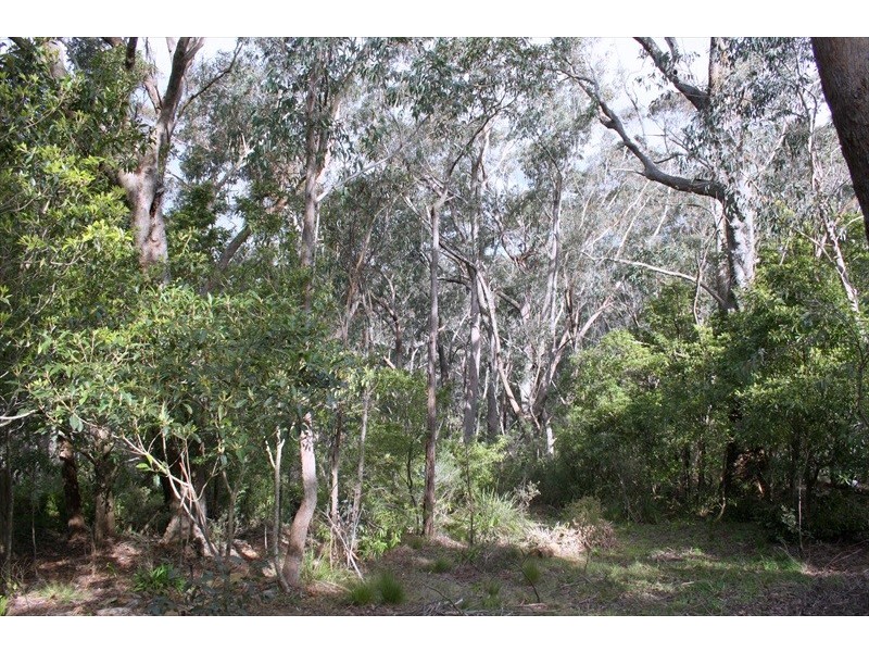 Wentworth Falls NSW 2782