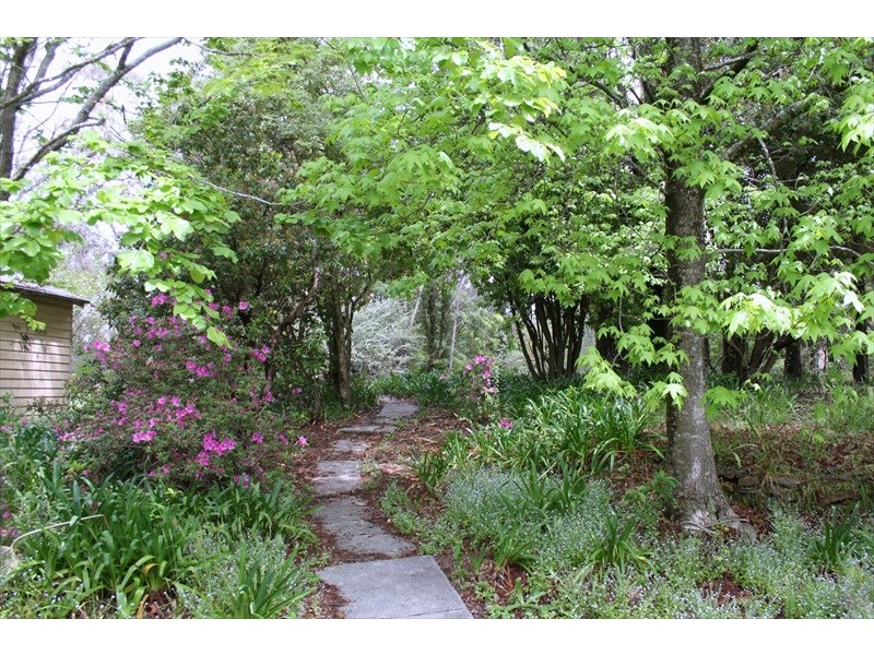 Wentworth Falls NSW 2782