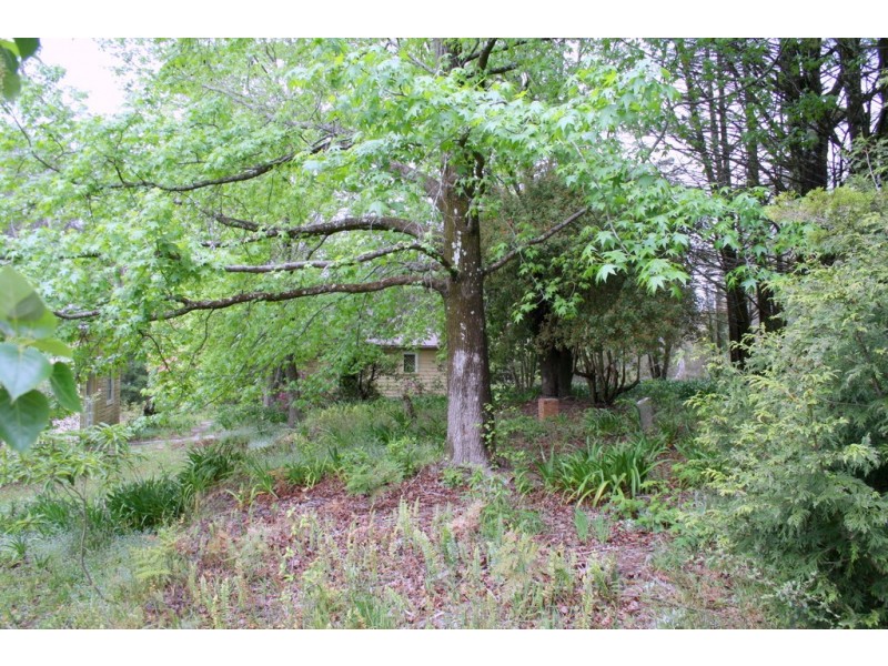 Wentworth Falls NSW 2782