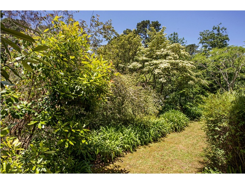 Wentworth Falls NSW 2782