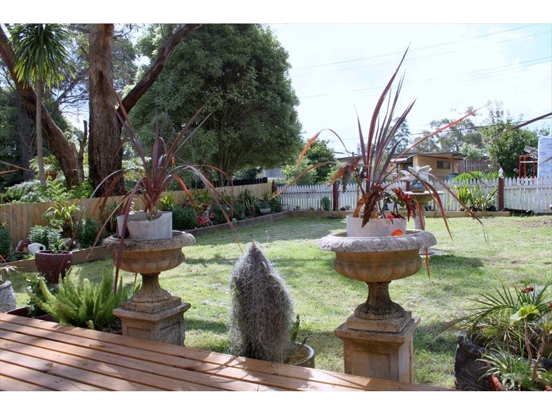 103 Henderson Road, Wentworth Falls NSW 2782