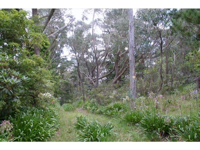 Wentworth Falls NSW 2782