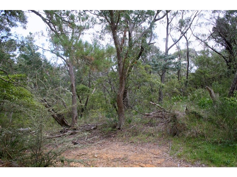 Wentworth Falls NSW 2782