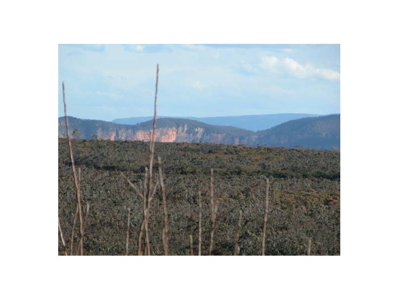 Wentworth Falls NSW 2782