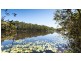 9 Sundew Street, Ningi QLD 4511