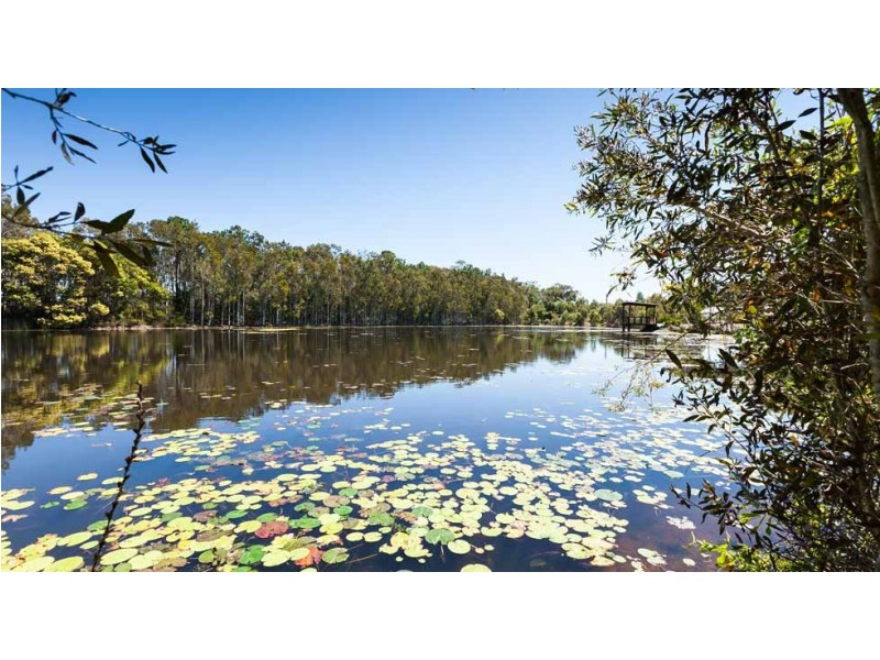 9 Sundew Street, Ningi QLD 4511