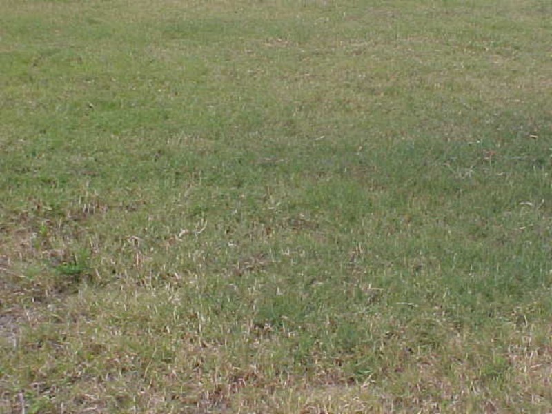 Lot 48 Cosmos Avenue, Bribie Island QLD 4507