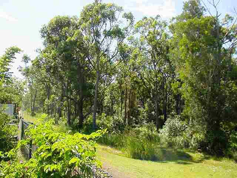 169  Endeavour Drive, Banksia Beach QLD 4507