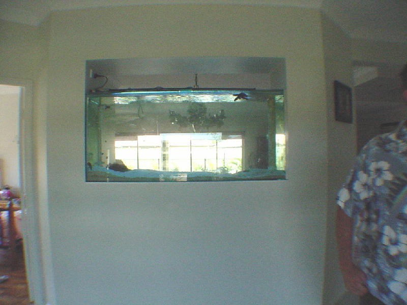 50 Flamingo Drive, Banksia Beach QLD 4507