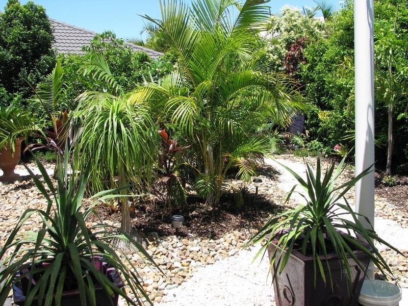 36 Kakadu Circuit, Banksia Beach QLD 4507