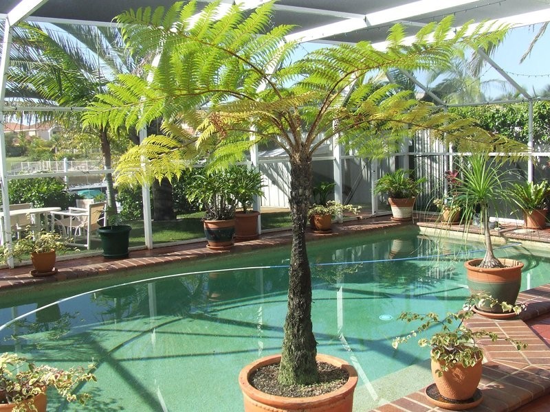 8 Topsail Circuit, Banksia Beach QLD 4507