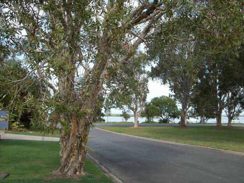 Banksia Beach QLD 4507