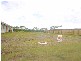67 Sandheath Place, Ningi QLD 4511