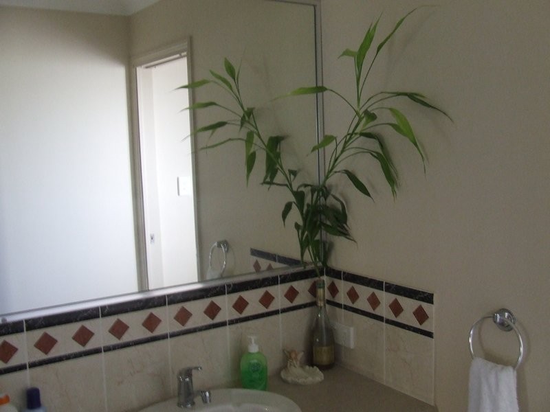 6 Brigantine Place, Banksia Beach QLD 4507