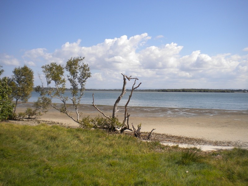 Banksia Beach QLD 4507