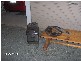 c/- 19 Benabrow Avenue, Bribie Island QLD 4507